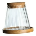 thumbnail image 4 of Florero hidropónico para plantas de cristal Strade Fareast Limited, 4 of 8