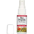 thumbnail image 3 of Natural Factors Bee Propolis Throat Spray, Helps Soothe a Sore Throat and Support Energy Levels, 1 Oz, 3 of 4
