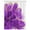 Purple, variant on Sage Green Gold Waterproof Fabric Shower Curtain,Aesthetics Flower Boho Watercolor Art Waterproof Fabric Shower Curtain for Bathroom Curtains Bathtubs Shower Curtains with 12 Hooks Small 36x72in