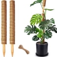 thumbnail image 1 of Tutores de musgo para plantas CHIAFFI de 53 cm, soporte de fibra de coco, paquete de 2, 1 of 8