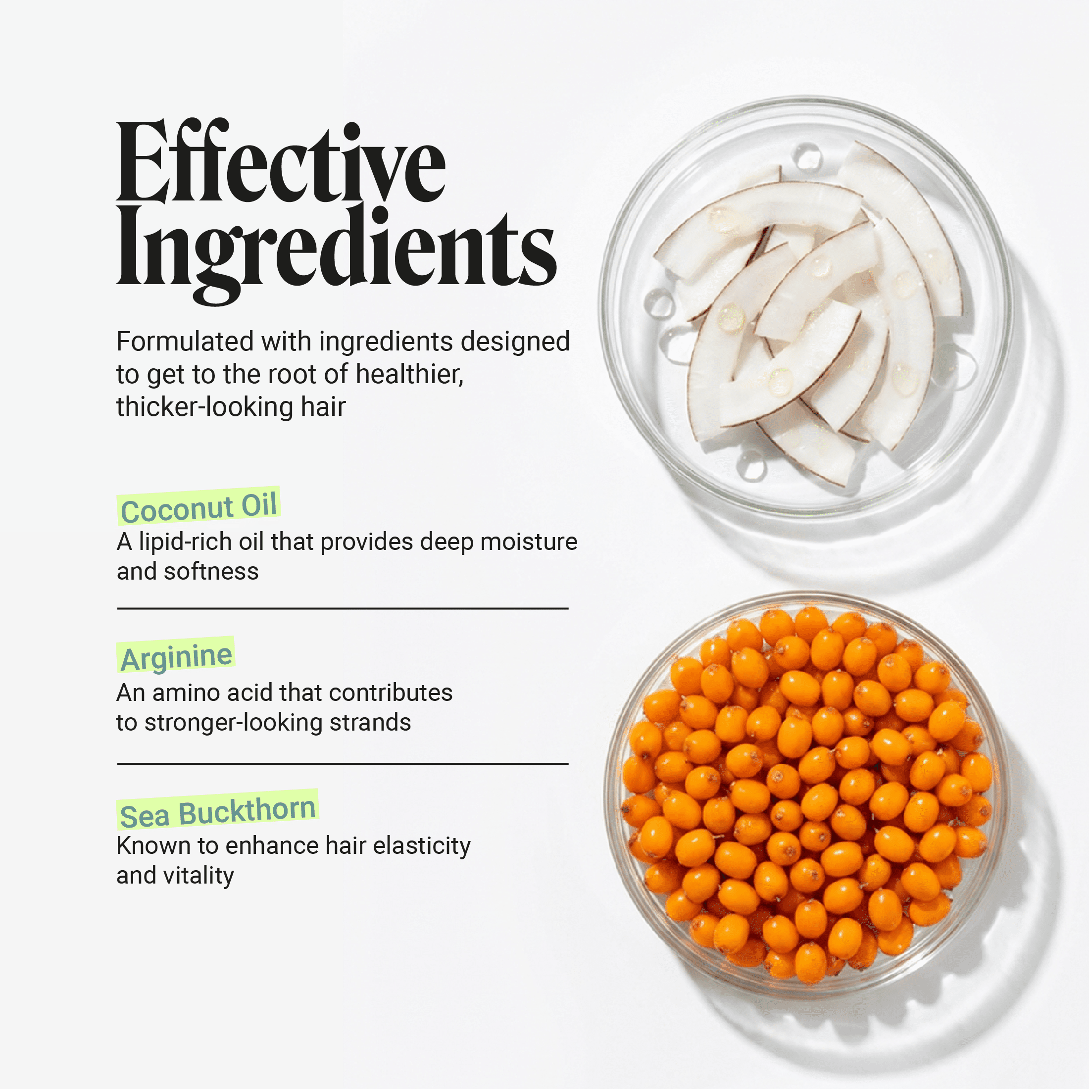 Liva Restorative Conditioner with Coconut Oil, Sea Buckthorn and Arginine for Fuller-Looking Healthier Hair 11.53 fl oz