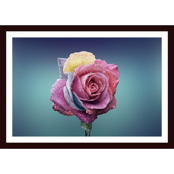 Beautiful Flower Wall Decor Scenery Glass Framed 40X30 CM