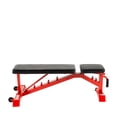 thumbnail image 5 of Lifeline Fitness Utility Weight Bench – Adjustable – 1,000lb Rated for Weightlifting and Strength Training, 5 of 13