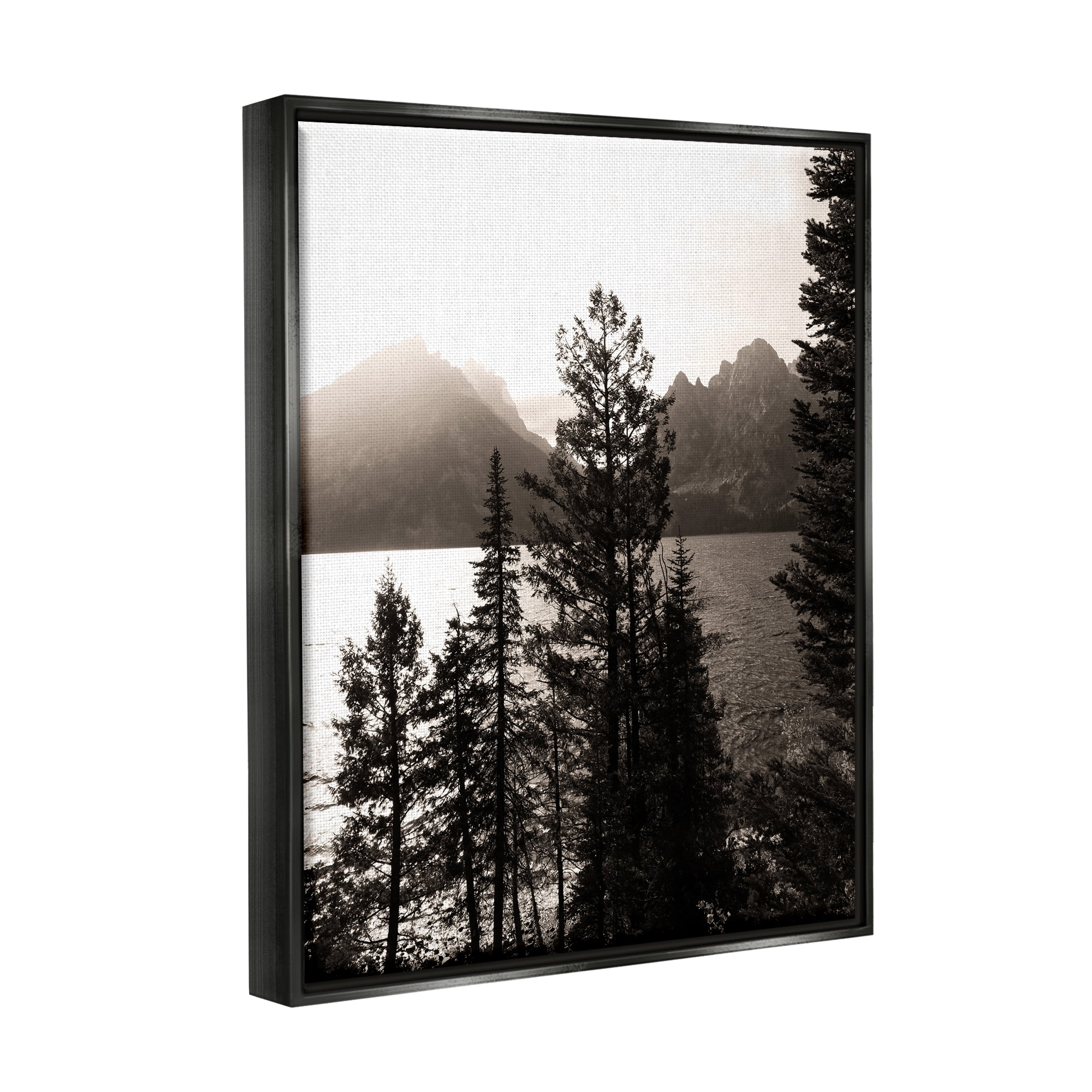 Stupell Industries Trees & Lake View Landscape Photography Black Floater Framed Canvas Art Print Wall Art, 25 x 31