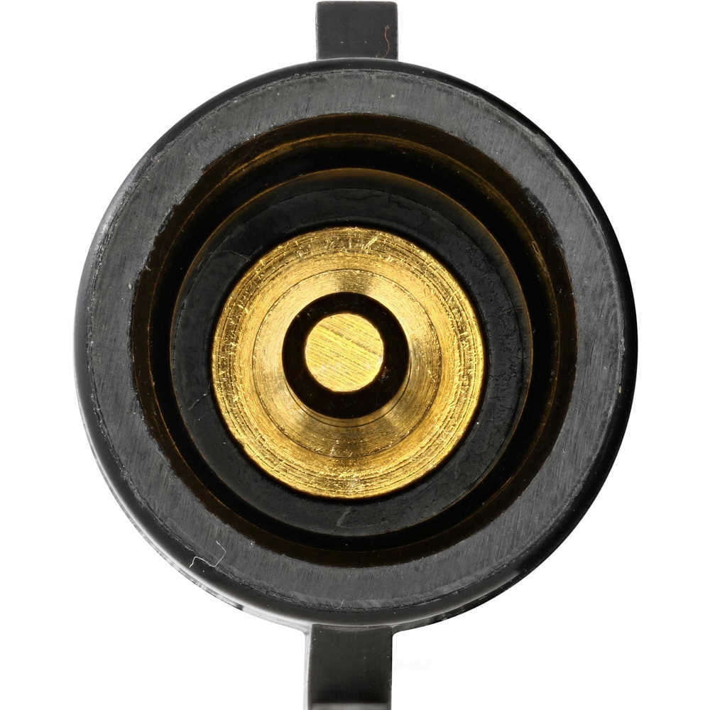 HOLSTEIN 2IGC0171 Ignition Coil