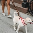 thumbnail image 5 of Fake Big Dog Chain Leash,Funny Dog Leash,Imitates Iron Chains for Small Dogs Cats Puppies, 5 of 5