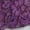 Purple, variant on Crew Neck Lace Blouse Womens Plus Size Long Sleeve Fitted Soft Stretch Daily Casual Top Wine M
