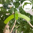 thumbnail image 2 of 360 Degree for Low Training for Control Plants Reuseable, 2 of 6
