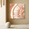 thumbnail image 2 of PixonSign Canvas Print Wall Art Underside of Orange Wood Rings Geometric Wilderness Illustrations Modern Art Minimalist Closeup Relax/Calm Multicolor Warm for Living Room, Bedroom, Office - 16"x16", 2 of 5