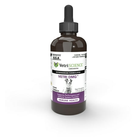 UPC: 0026664159038 | VetriScience Vetri-DMG Immune Health Dog Cat & Bird Liquid Formula 28-mL
