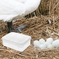 thumbnail image 4 of 2pcs 16 Compartments Eggs Incubation Tray Reptile Hatchery Breeding Box, 4 of 9