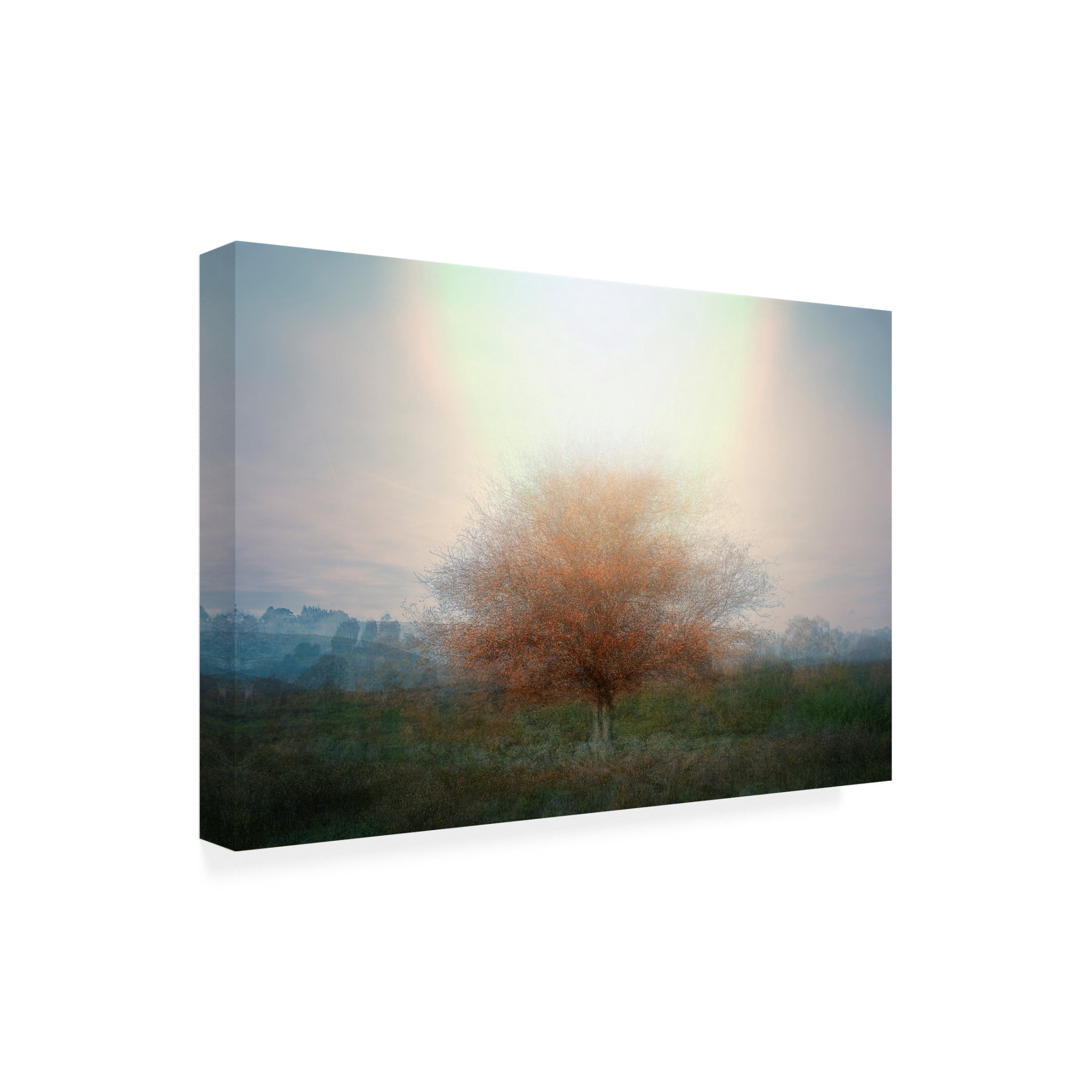 Canvas Wall Art - Nel Talen 'Mirage' Wall Art for Living Room, Bedroom, or Office Décor by Trademark Fine Art - 24 x 16 Inches