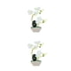 thumbnail image 2 of Matsuzay Orquídea artificial flores falsas en maceta simuladas Blanco 2Conjunto, 2 of 6