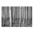 thumbnail image 1 of Startonight Canvas Wall Art Black and White Abstract Army of Trees, Dual View Surprise Artwork Modern Framed Ready to Hang Wall Art 100% Original Art Painting 31.5 x 47.2 inch, 1 of 9