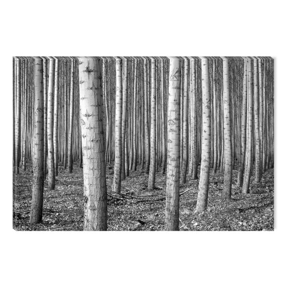 Startonight Canvas Wall Art Black and White Abstract Army of Trees, Dual View Surprise Artwork Modern Framed Ready to Hang Wall Art 100% Original Art Painting 23.62 X 35.43 inch