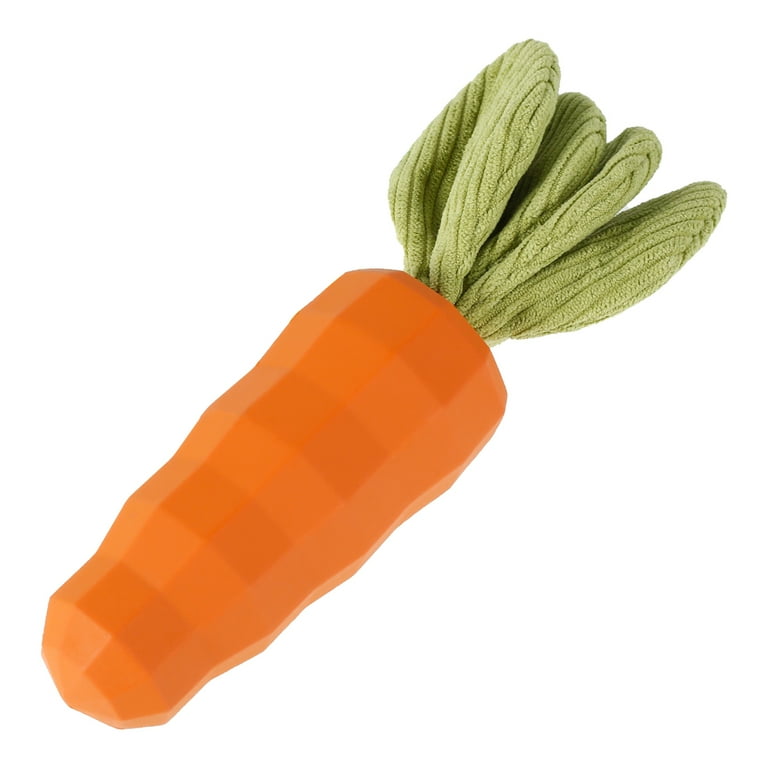 Do Raw Carrots Help Clean Dogs Teeth