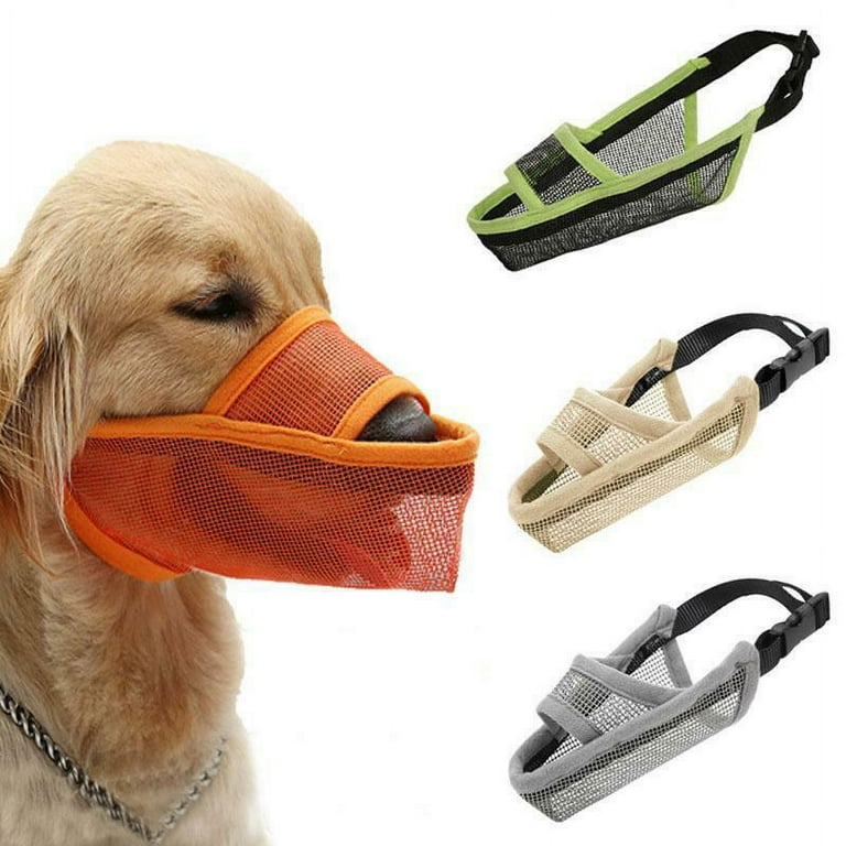 Anti hotsell chew muzzle