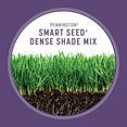 thumbnail image 5 of Pennington Smart Seed Dense Shade Grass Seed Mix, for Partial to Full Shade, 7.0 lb. New Bag, 5 of 19