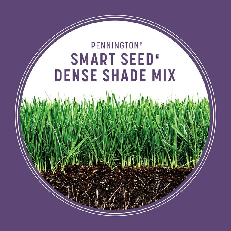 Pennington Smart Seed Dense Shade Grass Seed Mix, for