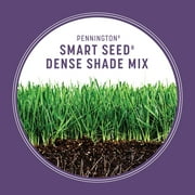Pennington Smart Seed Dense Shade Grass Seed Mix. 3 lb.