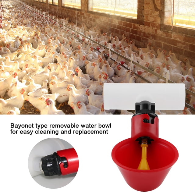 Automatic Quail Waterer Chicken Water Poultry Drinker Poultry For Chicken