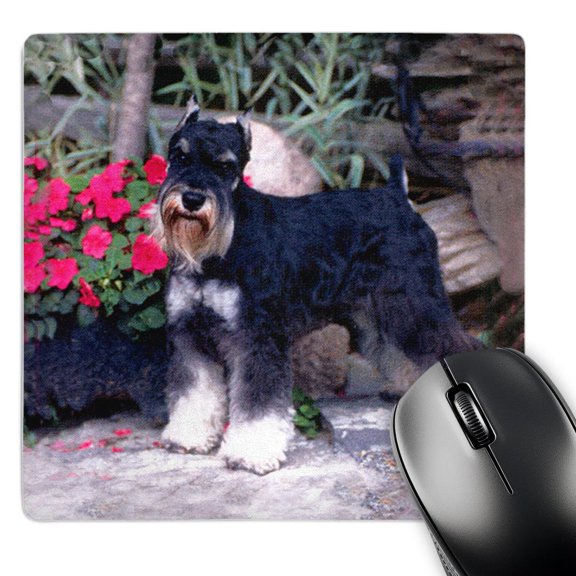 3dRose, Schnauzer, MousePad