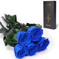 thumbnail image 1 of Flores preservadas Yamonic Rose Gift, 5 tallos, 31 cm, 1 of 8