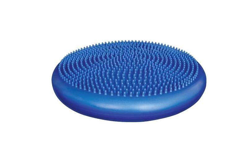 body sport balance disc