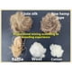 thumbnail image 5 of Material mixto para nidos de pájaros, mezcla de lino natural para periquitos, pinzones y canarios, lecho suave y triturable para la construcción de nidos, ideal para usar en jaulas y, 5 of 8