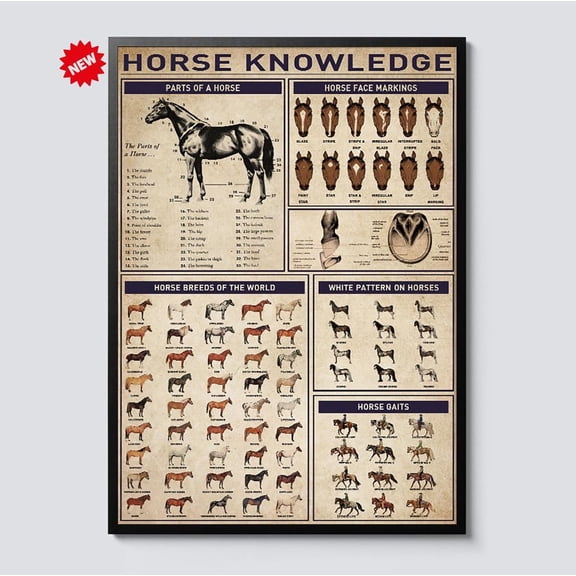 DIANANA Horse Knowledge Poster, , Educational Equine Chart, Equestrian Art for Barn, Stable, Home, Horse Lovers, Horse Anatomy Poster