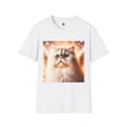 thumbnail image 4 of Selkirk Rex, 4 of 10