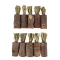 thumbnail image 1 of Conejo Masticar Palos, 10pcs Zanahoria en Forma de Juguetes para Hámster, Conejo Yeguetes para el Los Dientes, Seguro Applewood Tortón de Indias para masas para masas para masas, 1 of 7