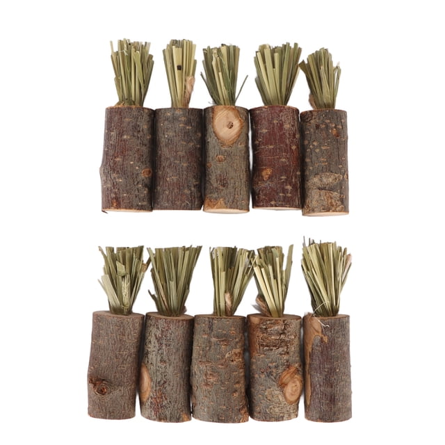 Conejo Masticar Palos, 10pcs Zanahoria en Forma de Juguetes para Hámster, Conejo Yeguetes para el Los Dientes, Seguro Applewood Tortón de Indias para masas para masas para masas