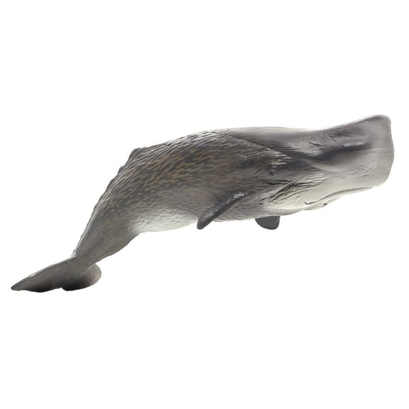 MOJO - Realistic International Wildlife Figurine, Large Sperm Whale