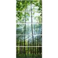thumbnail image 2 of Green Sunny Forest - Landscape Photography Canvas Art Print, 2 of 3
