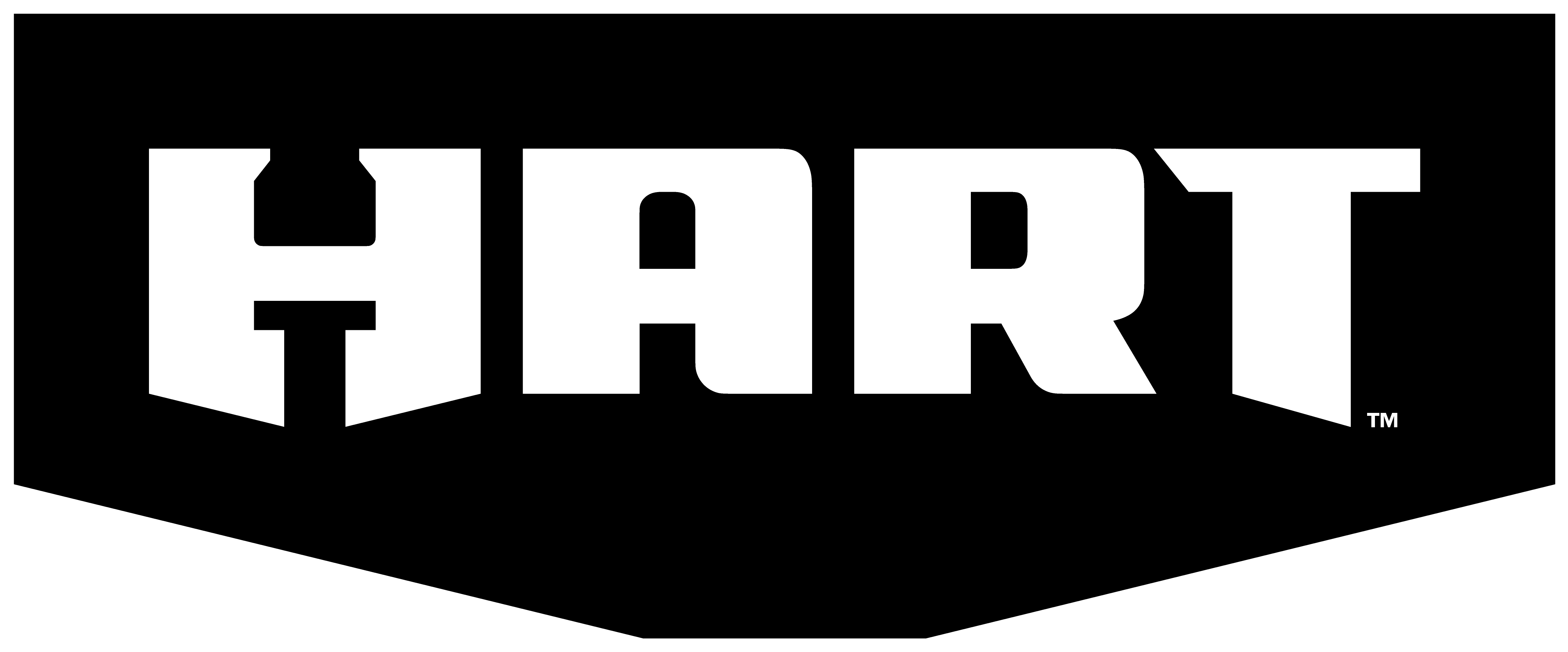 HART 2500PSI 2.5 GPM 212CC COLD WATER GAS PRESSURE WASHER