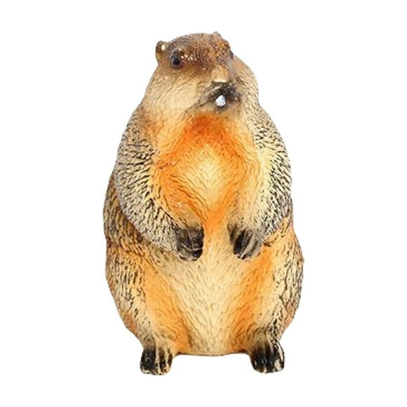 XFGOU Toys and Hobbies Wild Animals Realistic Groundhog Figurine Wild Animal Statue Groundhog Model Groundhog Ornament Kitchen Wall Stickers Cutlery Toys Cake Child Plastic Arts & Crafts & DIY toys