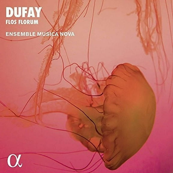 Dufay / Ensemble Musica Nova - Flos Florum - Music & Performance - CD