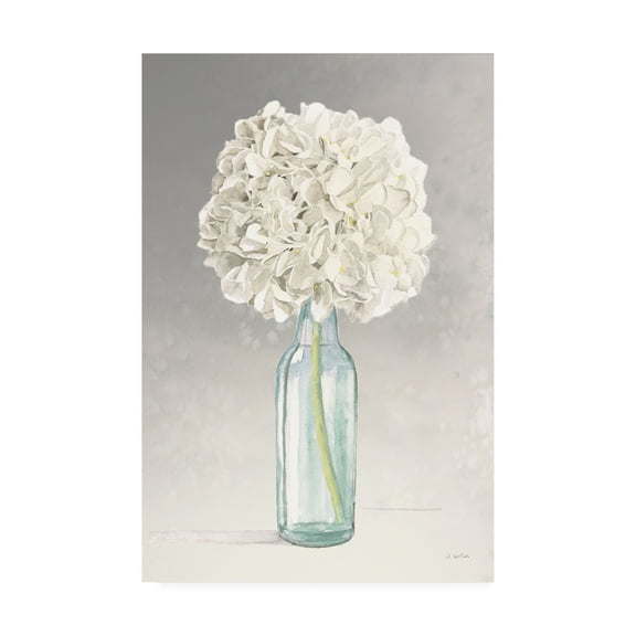 Trademark Fine Art 'Tranquil Blossoms II' Canvas Art by James Wiens