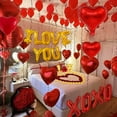 thumbnail image 6 of Natonhi 6347pcs Romantic Rose Petals & Candles Set - 'I LOVE YOU' Letters, 6000 Rose Petals, 48 Heart Candles, Balloons & Decorations for Anniversary, Valentine's Day, Proposal, 6 of 6