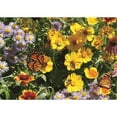 thumbnail image 7 of Pollinator Wildflower Mix, 2lb, 7 of 7