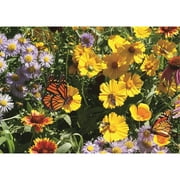 Pollinator Wildflower Mix, 2lb