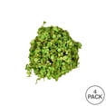 thumbnail image 3 of Vickerman 4'' Artificial Green Mini Leaves Ball, Set of 4, 3 of 3