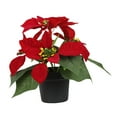 thumbnail image 1 of Arreglo Floral De Flor De Pascua En Maceta Para Regalo De Navidad Para Fiesta Navideña De Oficina, 1 of 8