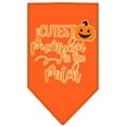 thumbnail image 5 of Mirage Pet Cutest Pumpkin in the Patch Screen Print Bandana Cocoa Small, 5 of 10