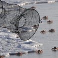 thumbnail image 3 of Trampa para Peces Y Camarones Red Pesca Plegable Cangrejos Accesorios, 3 of 9