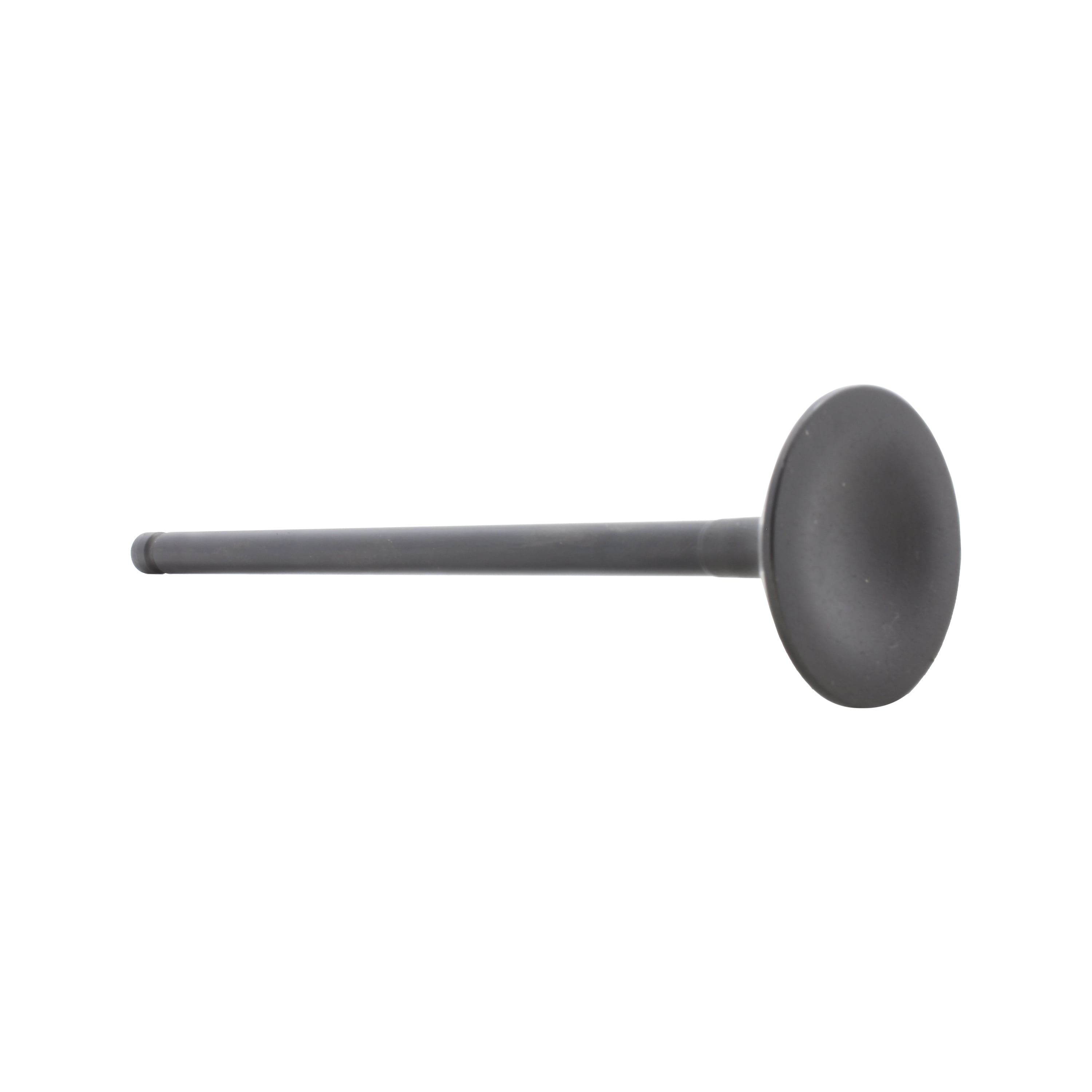 DNJ EV245 Exhaust Valve Fits Cars & Trucks 94-02 Acura Honda Accord CL 2.2L-3.5L L4 V6 SOHC 16v