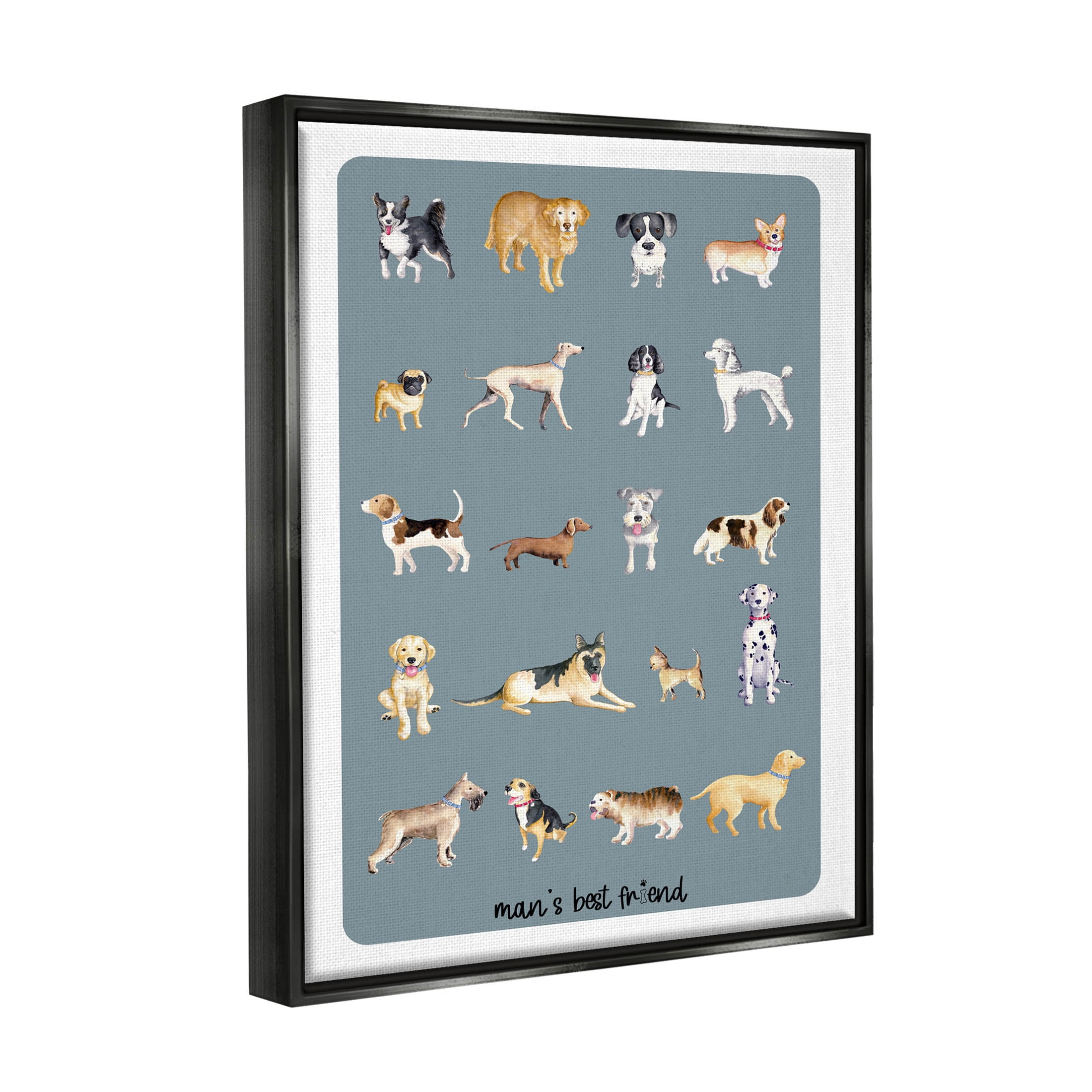 Man's Best Friend Dog Breeds Animals & Insects Graphic Art Jet Black Framed Art Print Wall Art