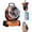Burnt Orange, variant on Camping Fan Battery Operated Powered Fan With LED Lantern Light 20000mAh Rechargeable Portable Fan, Oscillating Fan With 360 °   Rotation Hanging Hook For Tents, Cordless USB Desk Fan