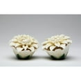 thumbnail image 3 of White Ceramic Daisy Flower Salt and Pepper Shakers 2.5in Gift, 3 of 3